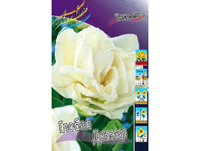 11,95���. ������� ������ ������(��� 10 ��. ���������� ������ 5��.).jpg