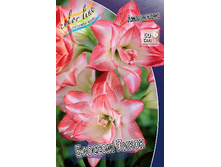 257,9���. ��������� ������� �����(�������� ���� �� 1 ��., ����������� ����� 1��.).jpg