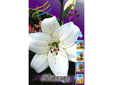 16,78���. �����  �������(��� 10 ��. ���������� ������ 5��.).jpg