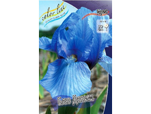 51,23���. ���� (pumila) ��� �����(�������� ���� �� 3 ��., ����������� ����� 1��.).jpg