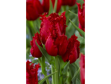 23,77���. ������� �����(��� 10 ��. ���������� ������ 5��.).jpg