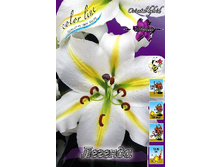 20,34���. �����  �������(��� 10 ��. ���������� ������ 5��.).jpg