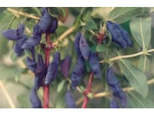 �����-���� �����-�������� ����-���. 140 ���. 1 ����� ���. �������� 3 ��. .jpg