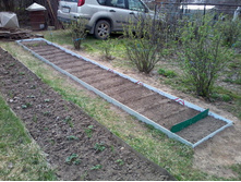 ����� 2016�.