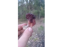 ������� ��� ������� ��� �����.JPG