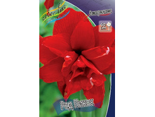 257,9���. ��������� ��� �����(�������� ���� �� 1 ��., ����������� ����� 1��.).jpg