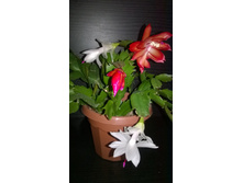 WP 20150503 23 26 04 Pro.jpg