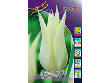 12,95���. ������� �������(��� 10 ��. ���������� ������ 5��.).jpg