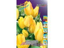 17,28���. ������� ������(��� 10 ��. ���������� ������ 5��.).jpg