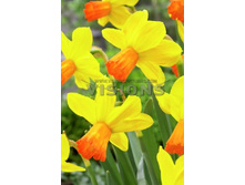 18���. ������� ��������(��� 10 ��. ���������� ������ 5��.)���15.jpg