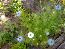 �������� �������.jpg