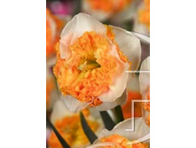 60,52���. ������� �����(�������� ���� �� 5 ��., ����������� ����� 1��.)���14.jpg