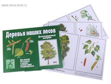 ��������� �������� ������� ����� ����� ���. 679929 ���� 60.97 ��� ���.3 ��.jpg