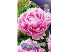 100,55���. ���� ���� ������(�������� ���� �� 2 ��., ����������� ����� 1��.).jpg