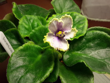 20150503 233039.jpg
