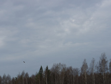 DSC02693.JPG