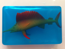 ���� ���.jpg