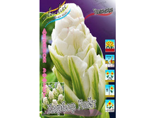 166,5���. ������� ������ ����(�������� ���� �� 10 ��., ����������� ����� 1��.)���14.jpg