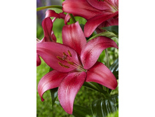 18,92���. �����  �����������(��� 10 ��. ���������� ������ 5��.)���14.jpg