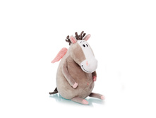 �������� ���� ����� 23 �� - 109 ������