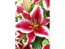 28,15���. ����� �������� ������(��� 10 ��. ���������� ������ 5��.)���15.jpg