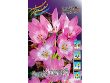 90���. �������� ����� ������ (����������.)(�������� ���� �� 2 ��., ����������� ����� 1��.).jpg