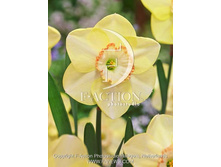 29,53���. ������� �����(��� 10 ��. ���������� ������ 5��.)���15.jpg