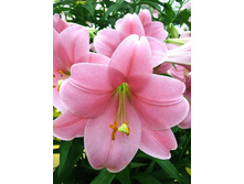 21,05���. �����  ���� ������(��� 10 ��. ���������� ������ 5��.).jpg