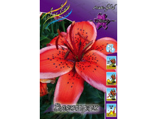 31���. �����  ��������(�������� ���� �� 10 ��., ����������� ����� 1��.).jpg