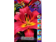 34,12���. �����  ������(�������� ���� �� 10 ��., ����������� ����� 1��.)���14.jpg