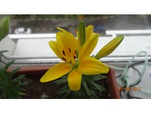DSC01736.JPG