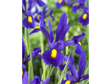 8,63���. ���� ����. ������(���������� ������ ������ ���������� �� 10 ��.).jpg