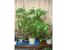 DSC03214.JPG