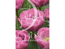 13,68���. ������� ���������(��� 10 ��. ���������� ������ 5��.)���15.jpg