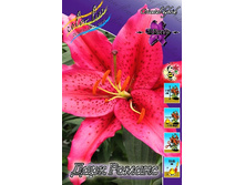 33,13���. �����  ���� ������(�������� ���� �� 10 ��., ����������� ����� 1��.)���14.jpg