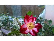 WP 20150515 11 26 15 Pro.jpg