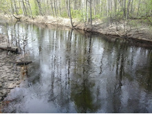 2015-05-10 07.15.47.jpg