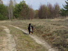 DSC02683.JPG