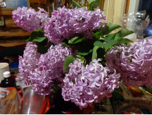 DSC02877.JPG
