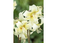 59,06���. ���������� ���� �����(�������� ���� �� 5 ��., ����������� ����� 1��.)���14.jpg