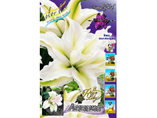 50,62���. �����  ROSELILY ������(�������� ���� �� 5 ��., ����������� ����� 1��.)���14.jpg