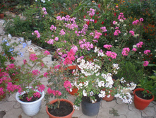 ������������..... ��� ������ � �����  � ���� ...!!!!!)))