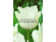 12,23���. ������� ��������(��� 10 ��. ���������� ������ 5��.)���14.jpg