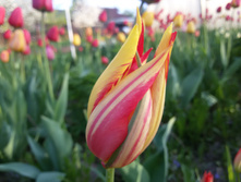 20150516 190013.jpg