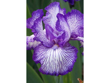 75,9���. ���� ���������� ����� ������(�������� ���� �� 3 ��., ����������� ����� 1��.)���15.jpg