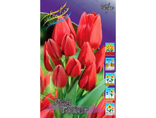 20,16���. ������� ��� �����(��� 10 ��. ���������� ������ 5��.).jpg