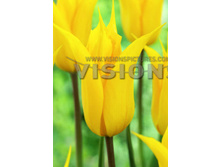 18,72���. ������� �� ����(��� 10 ��. ���������� ������ 5��.)���15.jpg