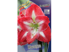 174,2���. ��������� �������(�������� ���� �� 1 ��., ����������� ����� 1��.).jpg