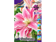 50,62���. �����  ROSELILY �������(�������� ���� �� 5 ��., ����������� ����� 1��.).jpg