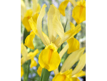 8,63���. ���� ����. ������ ����(���������� ������ ������ ���������� �� 10 ��.).jpg